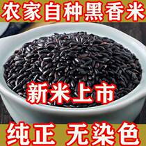 Northeast Black Mie 3 catty 5 catty 10 catty of long grain rice black rice black glutinous rice porridge New rice black brown rice purple rice fragrant rice