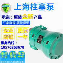Sales Shanghai Shenfu high pressure pump hydraulic parts Factory 25MCY25MCY14-1B axial piston pump