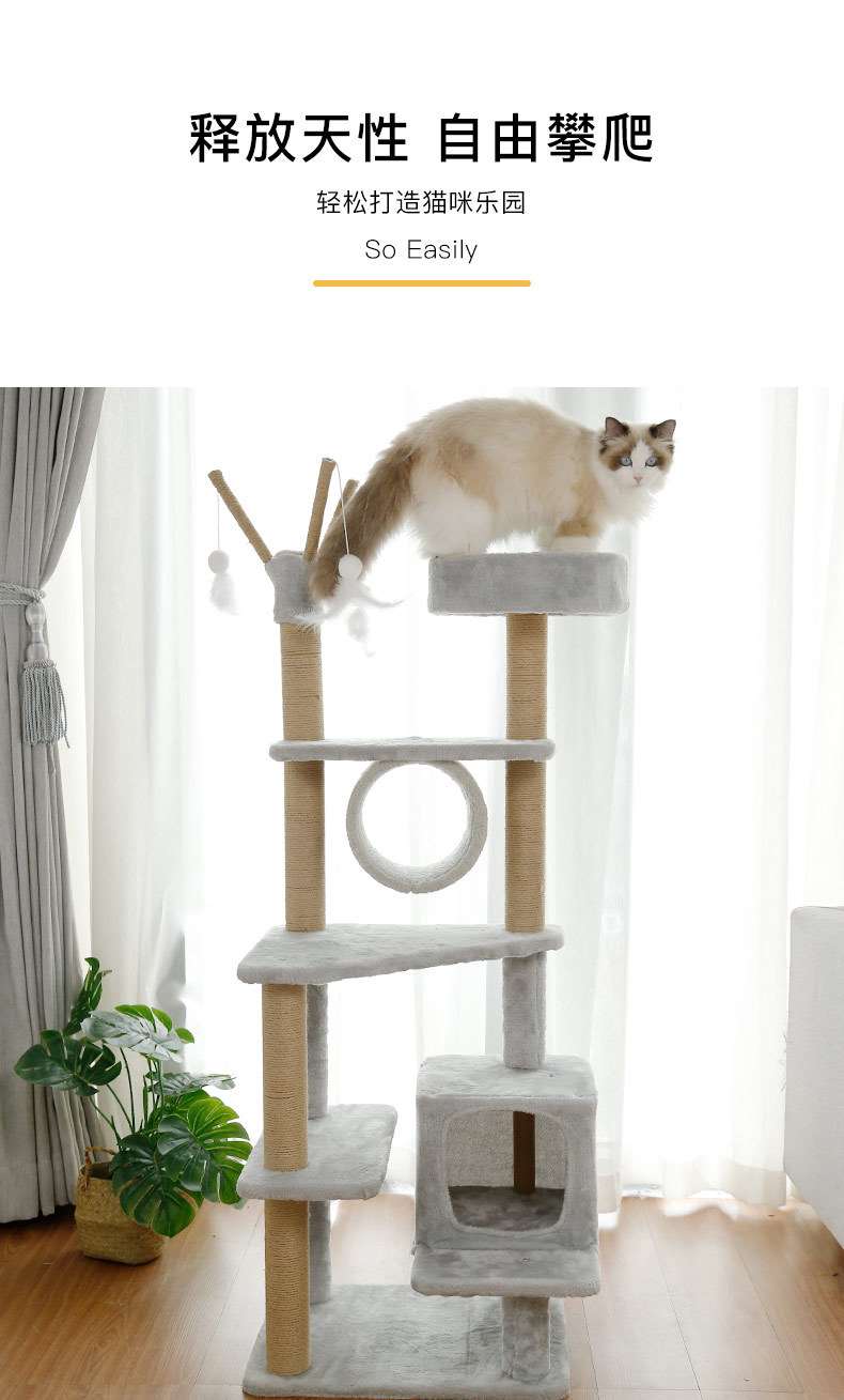 Наслаждайтесь свободой, лазая по кошкам.frame_03.jpg