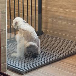Convenient and Easy to Clean Flat Dog Toilet Large Large Dog Small Size Dogs Universal Medium Non-Slip Dog Urine Pet Flushing