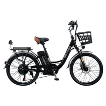 Construction of electric vehicle bicycle new national standard lithium battery electric vehicle adult portable food delivery vehicle booster 20 24 inches