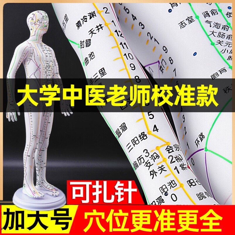 针灸穴位人体模型可扎针经络全身图小铜人模特大真人十二人形练习