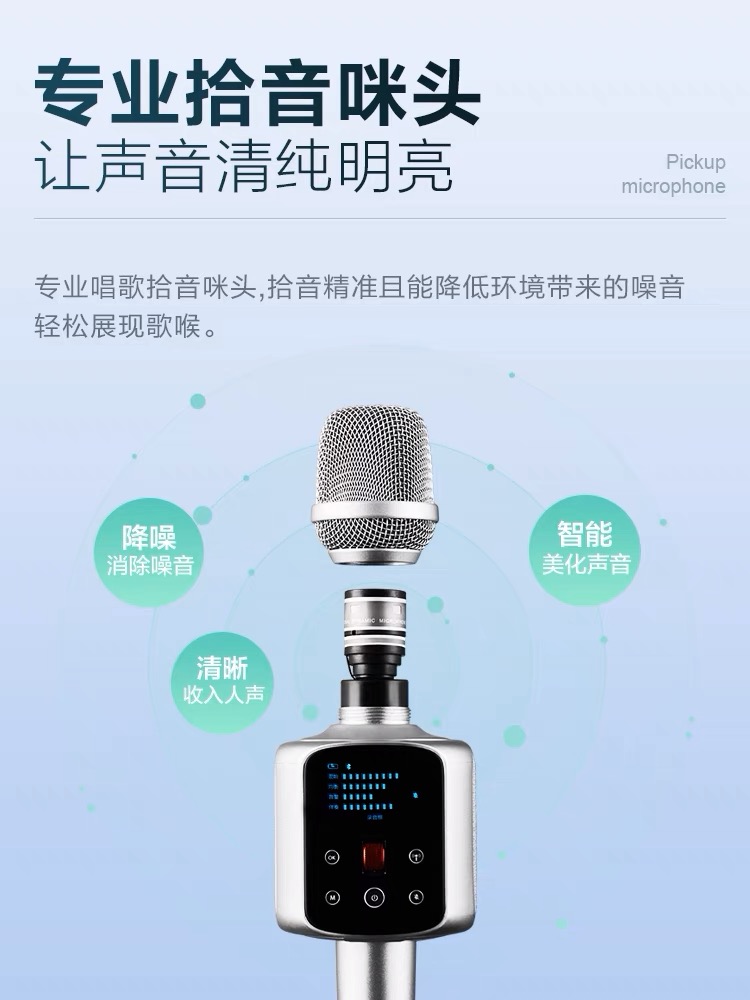 R2 - Standard Microphone Microphone Sound Card Singing Family Car Recording Outside