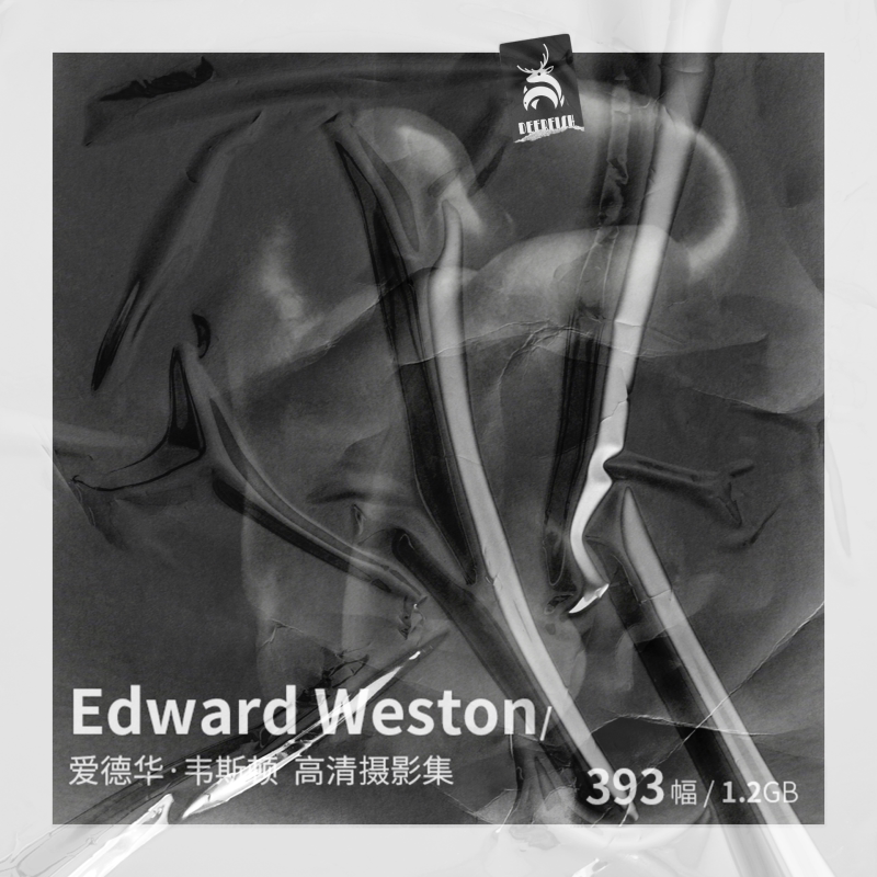 Edward Weston Black and White Still Life and Human Body Photography Master High-Definition Image Resources