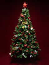 Indoor simulation encryption 1 2 m 3 Christmas tree bare tree 1 5 large Christmas tree 2 m 1