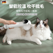 German pet smart hair dryer all-in-one hair dryer for dogs and cats Teddy Bichon Frize for small dogs