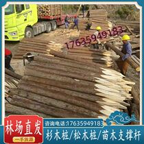 Piling wood building outdoor river slope protection modeling tree partition bank protection pine wood 6 meters fir pile landscape pile round wood