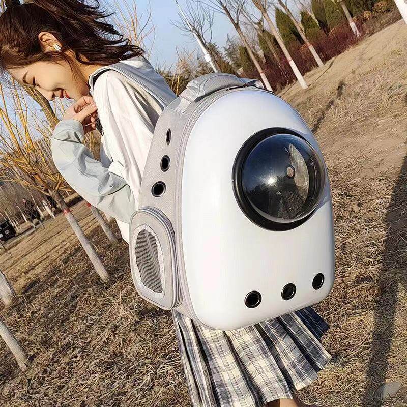 Cat pack large capacity outdoor portable large transparent gas capsule pet two cat puppies shoulder backpack