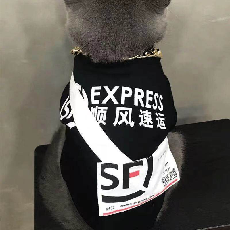 Mei Yunfeng Cat Dog Clothes Spring and Summer Clothes Funny Fa Dough Kocki Teddy Boy Pet Clothes