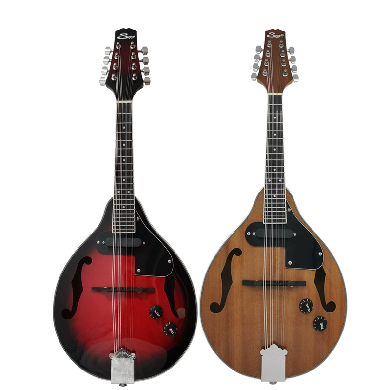 Nhạc cụ mandolin quốc gia, guitar Tây Tạng, mandolin tám dây, zamu gỗ rắn, mandala cắm điện - Nhạc cụ phương Tây