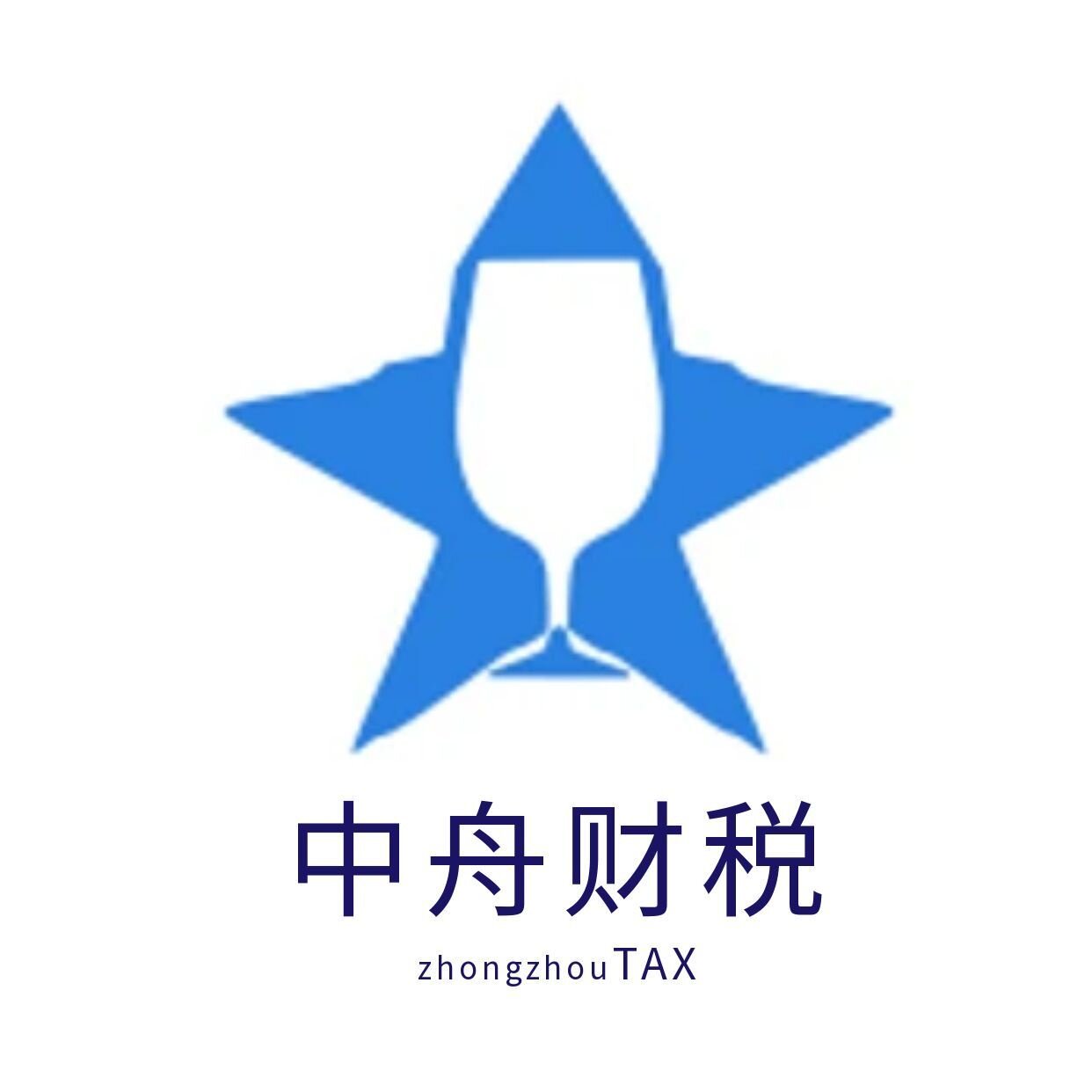 中舟财税集团企业店的LOGO