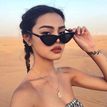 Vintage Triangle Cat Eye Women Sunglasses Personality PC Fra