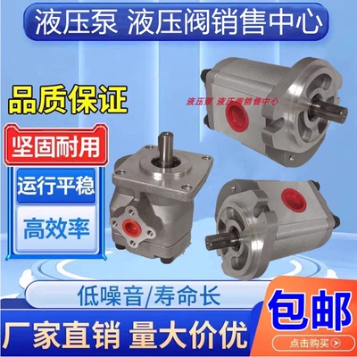 [台湾齿轮泵CBY-F203BFP,CBY-F204BFP齿轮泵供应]