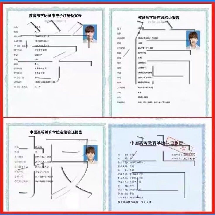 ✨学历查询神器！学信网操作指南来了，手把手教你搞定学历认证！