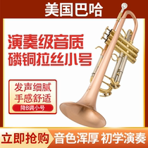 Original trumpet instrument in B flat heavy-duty phosphor bronze wire drawing easy to play beginner band examination performance level