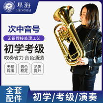 Upright euphonium baritone baritone three flat keys four flat keys B flat tuba beginners grade examination band