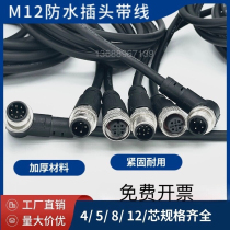 M12 connector waterproof aviation plug with wire 4p5 core 8 core 12 core sensor male and female head injection molding cable