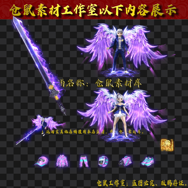 JJ202430233-紫翼炫酷男女