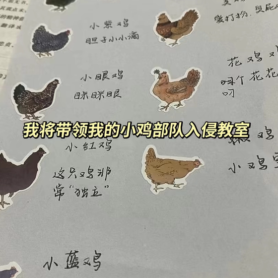 母鸡卷卷贴卡通小鸡图案贴纸封口贴便签贴装饰搞笑手帐贴画小图案