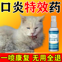 Special medicine for cat stomatitis cats rotten mouth and drooling gums special oral anti-inflammatory spray to remove bad breath
