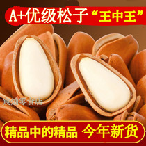 (Changbai Mountain Red Pine Nuts) 2024 New Arrival Northeastern Pine Nuts 500g Contains Packaging Nuts Pine Nuts Red Pine