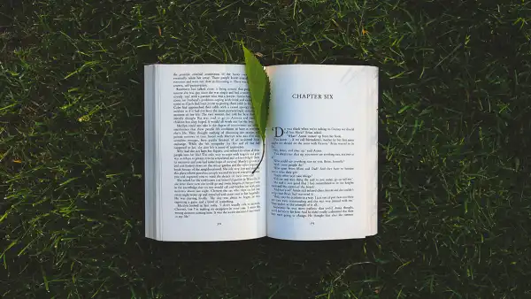 淘宝主图设计优化：提高点击率差异化打造实战课程