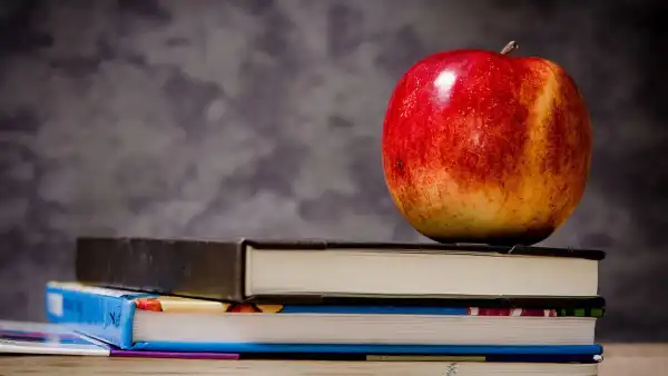 平台是如何判定“重复铺货”的？