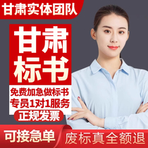 Gansu Jiayuguan tendering document production bidding documents expedited production of project cost government procurement bidding