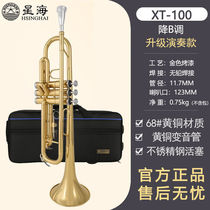 Trumpet instrument B flat trumpet student professional playing beginner general advanced brass trumpet instrument