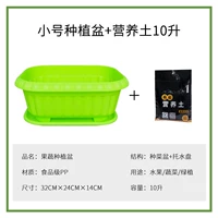 Овощное растение бассейн [зеленый маленький]+10 л пищевой почвы