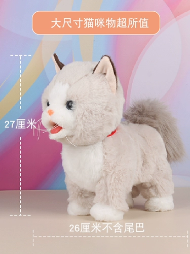 Прикоснитесь к головному мяу, чтобы позвонить котенку, чтобы научиться ходить и ходить