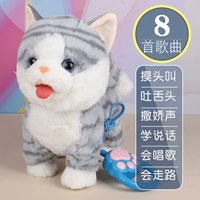 [Облизывание кошек серые полосы] коснитесь головы и научитесь говорить+музыку