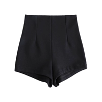 Черная пружина и осенняя толстая модель