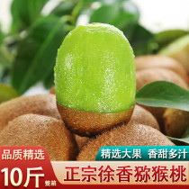 Authentic Xuxiang kiwi fresh in season Shaanxi authentic green heart full box 3 5 catties freshly picked kiwi fruit