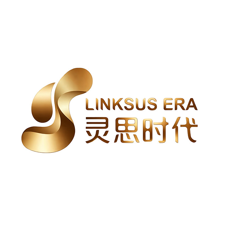 灵思时代