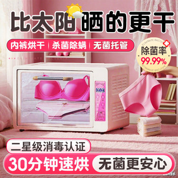 Underwear Sterilizer, Underwear Dryer, High-Temperature Small Ultraviolet Sterilizer, Clothing Integrated Disinfection Cabinet