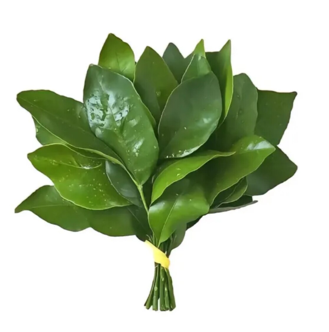 小东西321