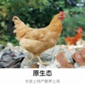 大别山绿色家禽的LOGO