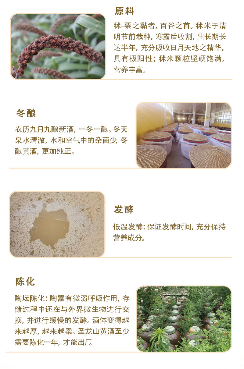 安享好物 安享D级黄酒-圣龙山6度黄酒 企标 