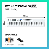 【88 Ключ белый】+педаль+аналоговая лаборатория подлинный цвет звука