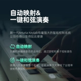 Arturia Keylab Essential 49/61/88 Ключевая профессиональная музыка аранжировка 配 Midi Keyboard