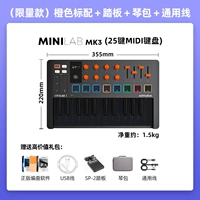 【Limited Orange】 Minilab Mk3 Стандарт с [педаль + пакет для пианино + мобильный телефон универсальный кабель]