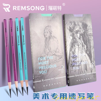 Rui Meng Special Sketching Soft Charcoal Pencil Set for Sketching Exams, Drawing Linear Lines and Shading, Charcoal Pencil for Beginners, Art Students, Portrait and Still Life Exams, Professional Sketching Tool Set 237 Art Exam Pencils