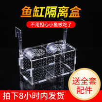Fish tank hanging box fish tank isolation box transparent acrylic hatching box guppy breeding box mini parrot partition