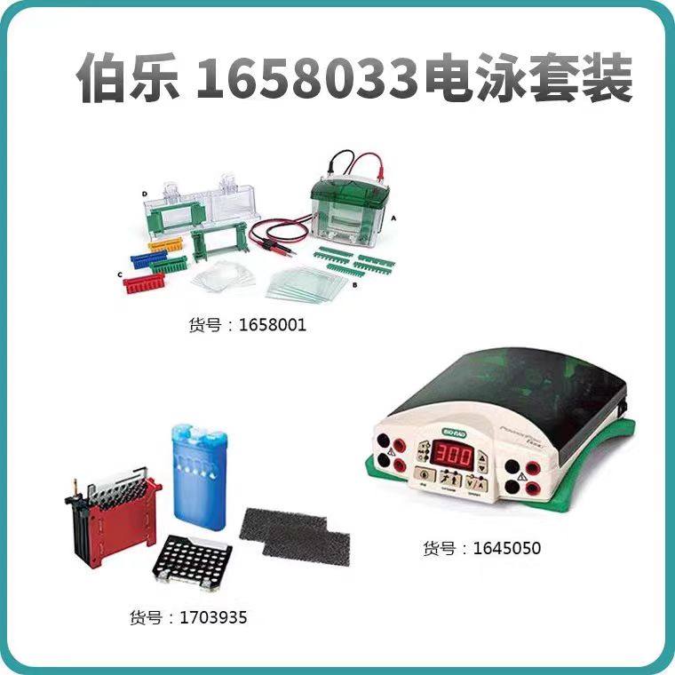 原装Bio-Rad伯乐垂直电泳套装1658033电泳三件套湿转WB实验，