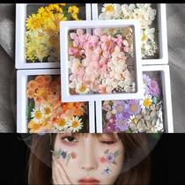 Dry flower patch face new sensated makeup appliation Bride Decoration Face to perform stage dress Childrens Day Face appliation