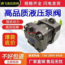 SUMITOMO Sumitomo hydraulic pump QT53-40F-A crane pump QT53-50F-A oil pump QT53-6 supply