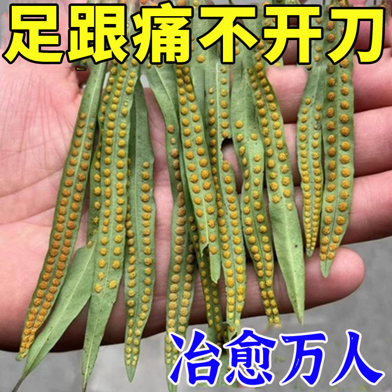 Foot Heel Pain Special Effects Plasters Heel Tendon Plantar Fasciitis Foot Heel Pain Gram Bone Sprinting Exclusive Patch AA-Taobao