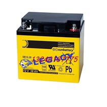 German SUNbattery battery SB12-18 12V18AH computer room UPS power supply ship energy storage equipment