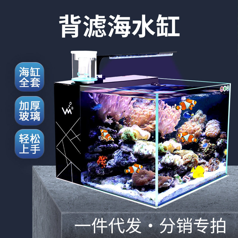Picture of Bring the beauty of the ocean into your home! this compact, self ...